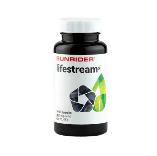 Lifestream 液之泉 | 肾+膀胱(水)